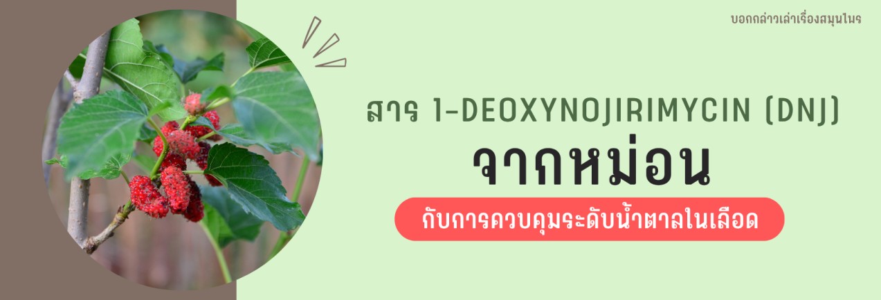 �Ѻ���